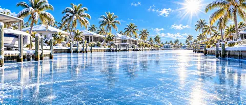 A Cape Coral canal frozen solid with snow-dusted palm trees